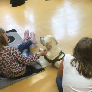 bildung_koop_kichhheim_In der Schulhund-AG1